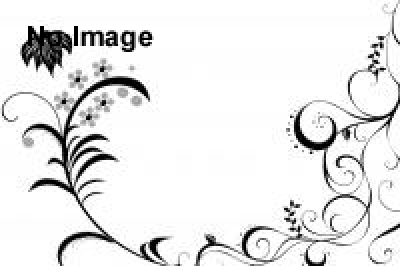 バレエ・マンガ　～永遠なる美しさ～ 