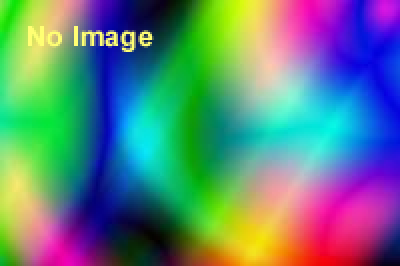 ANIMAX MUSIX 2013 supported by スカパー！