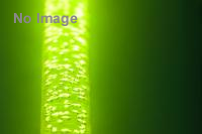 荒木経惟インスタントフィルム写真展『結界』