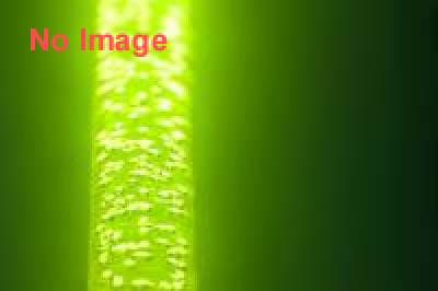 TOYOTA ROCK FESTIVAL 2013