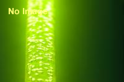 日本SF展・SFの国