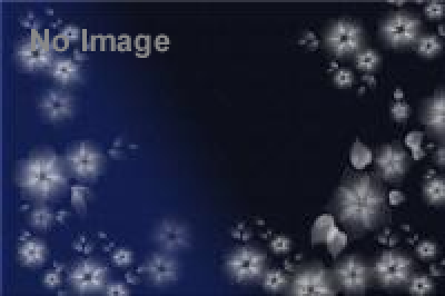 コレクション展　和歌を愛でる