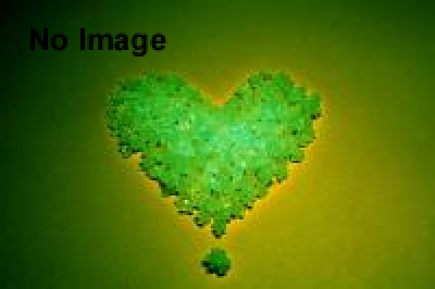 アートにみる動物たち