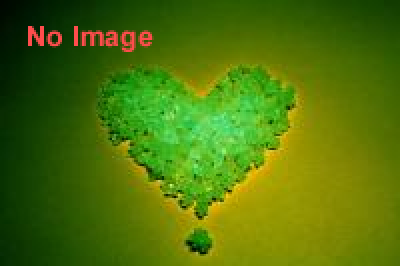 アウトドア婚活 in 海の森