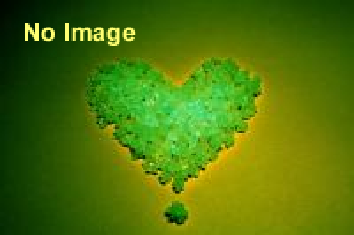 東京虫食いフェスティバル！　Vol.5