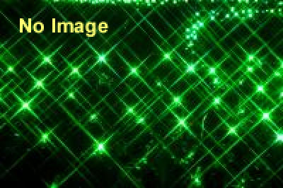 ジャパン　アミューズメント　エキスポ　2015（一般公開） 