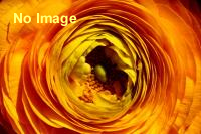 鈴木康広「見立て」の実験室