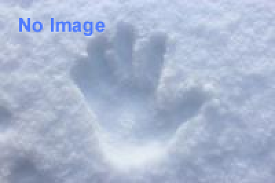 愛別町開拓120年記念 第30回愛別町雪中ソフトボール大会 