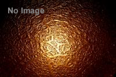 再発見！ニッポンの立体　生人形からフィギュアまで 