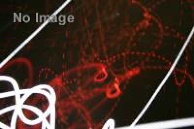 ドローイングマン ドローイングパフォーマンス －細密に嵌り込んだおとこ－