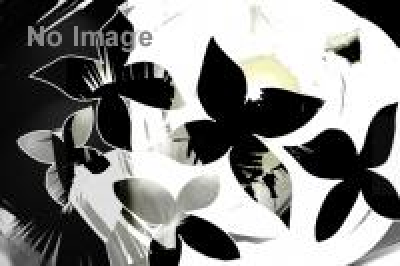 SAMURAI展～2015冬 大阪の陣～ 