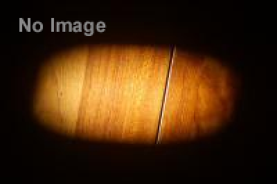 夏季限定お化け屋敷「恐怖のかくれんぼ屋敷」