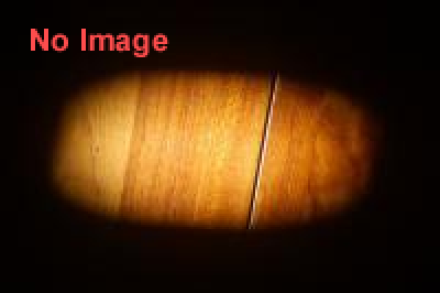 謎解き展覧会［コナン展］