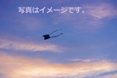 ケープタウン国際凧祭り（Cape Town International Kite Festival）：南アフリカ共和国