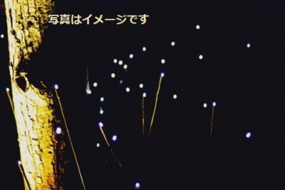 バーンズ・ナイト（Burns Night）：イギリス