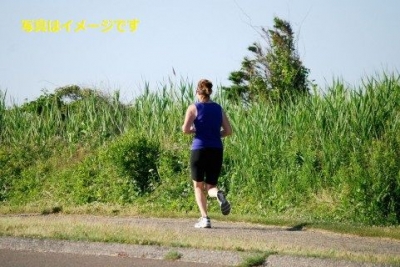 第31回　アテネクラシックマラソン（31st ATHENS CLASSIC MARATHON）：ギリシャ