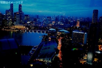 クリスマス・イン・ザ・トロピックス（Christmas in the Tropics）：シンガポール