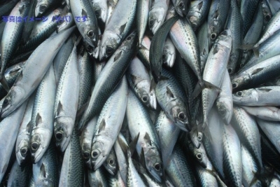 ダンケルクのカーニバル（Les dates carnaval de Dunkerque ）2014：フランス