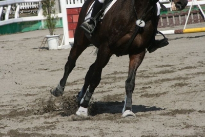 パリオ祭り（Palio di Siena）7月2日、8月16日：イタリア