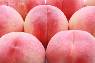 電車にお尻を向けるイベント（Mooning of the Amtrak）2014：アメリカ