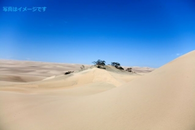 ヘンリー・オン・トッド・レガッタ（Henley-on-Todd Regatta）：オーストラリア