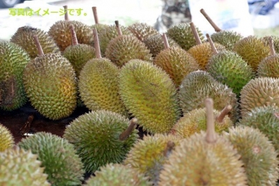 ドリアン祭り：マレーシア