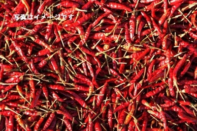 槐山唐辛子祭り：韓国