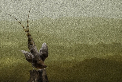 丹地保堯(たんじやすたか) の世界“写真画”展