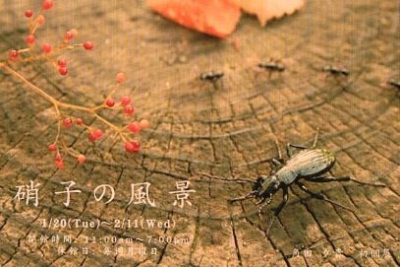 角田夕貴「硝子の景色」