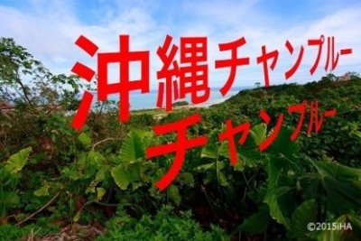 沖縄チャンプルーチャンプルー！～OKINAWAフェスタ＠お台場～