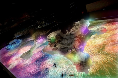 ペンギン花火