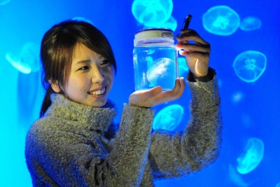 京都水族館　ふわふわクラゲガール【毎週土曜日】