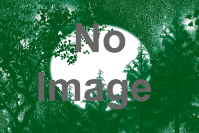 イギリス：チェスターのミッドサマー・ウォッチ・パレード（Chester Midsummer Watch Parade）