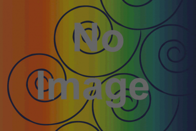 第6回　アフリカンフェスティバルよこはま2013　