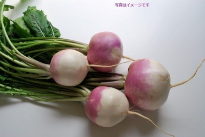 ハランプラス祭り（El　Jarramplas ）：スペイン