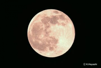 コニカミノルタプラザ特別企画展「月の神秘展」