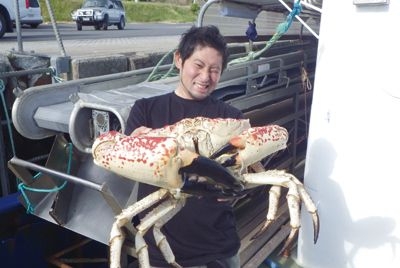 ヘンな生き物、捕ってさばいて食ってみた