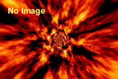 シネ・ロック・フェスティバル 2015