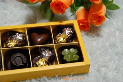 ハワイ・チョコレート・フェスティバル(Hawaii Chocolate Festival)：アメリカ