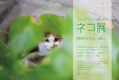 フォトグラファー達によるネコ展
