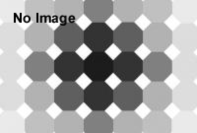 A VIEW OF DAILY LIFE ～世界五大陸の日常風景～