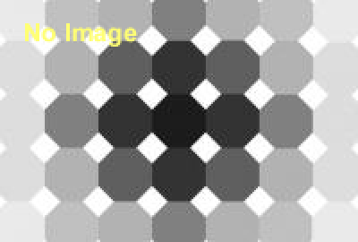 ARCHITECTURE FOR DOGS 犬のための建築