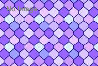 チーム対抗ゴミ拾いゲーム『胸キュン！GOMI拾いaround山手線Vol.23「駒込～巣鴨編」』 