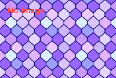 デザインバトンズ ～未来のデザインをおもしろくする人たち～ 