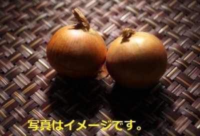 ワイマール　たまねぎ市（Weimar Onion Market）：ドイツ