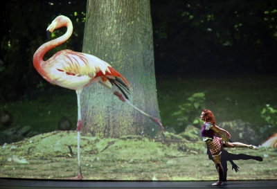 TACT FESTIVAL 2015　ジョゼ・モンタルヴォ「アサニシマサ～魔法の呪文」