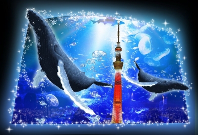 ＜すみだ水族館×小林製薬×小笠原村＞小笠原ウィーク