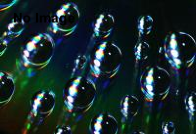 昭和ノスタルジー　～栓抜きコレクション展～ 