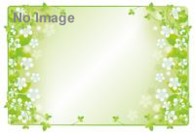 ヨガフェスタ横浜2013