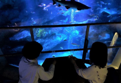 ザ・プレミアム・ブルーナイト